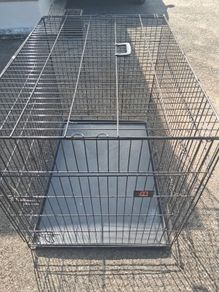 dog  crate