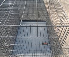 dog  crate