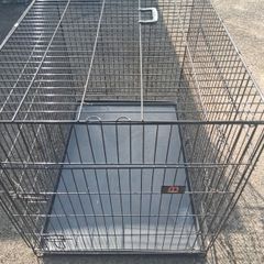 dog  crate