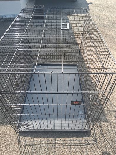 dog  crate