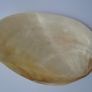 Large shell, Home decor, Ornaments,Shell, Image 4