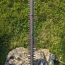 Petrol Hedge Trimmer Image 5