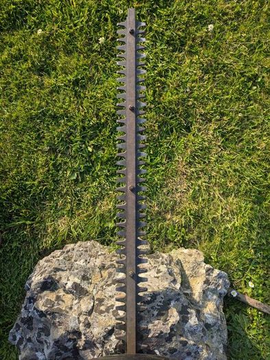 Petrol Hedge Trimmer