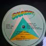 Storm Its My House ( Ashford & Simpson ) lovers rock 12 " on Soundoff Image 3