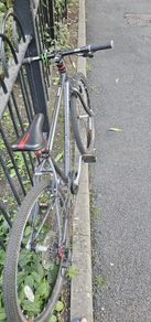 Squish 26 Light Alloy Bike