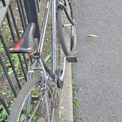 Squish 26 Light Alloy Bike