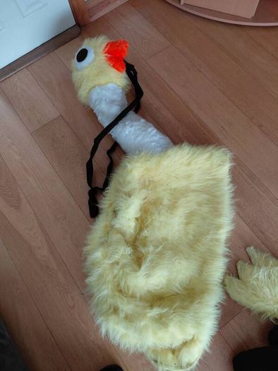 Fancy dress David Brent Emu adult costume