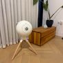 Stereo Pair of Devialet Phantom 1 gold 108db + Treepod stands with ash legs Image 3
