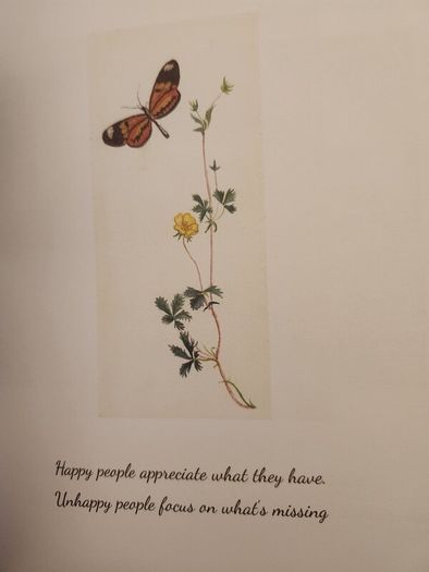 Our World Our Life. Being Expressions  Of Hope And Amusing Views Of Life. Published By Disabled Artists Association Cork. 2020. First Edition Large Volume Hardback In Very Good Condition.