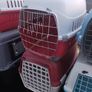 cat and dog carry cages Image 5