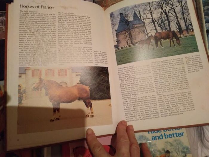 Horse / Equestrian Books