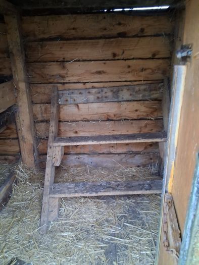 Hen House