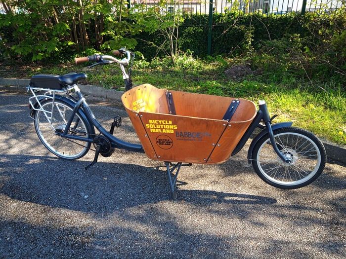 Cargo electric bike