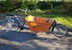 Cargo electric bike