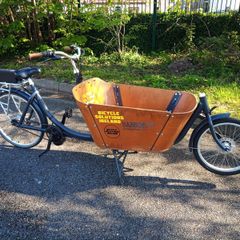 Cargo electric bike