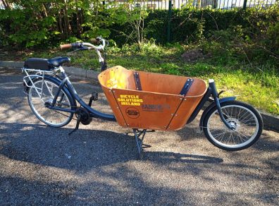 Cargo electric bike