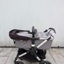 Buggy Image 2