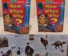 My Big Book of How When and Why Children,s Encyclopedia Hardback book