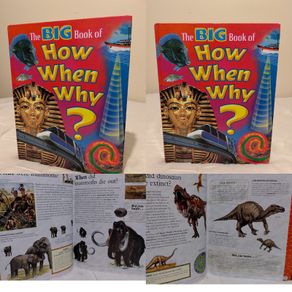 My Big Book of How When and Why Children,s Encyclopedia Hardback book