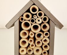 Insect house