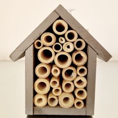 Insect house
