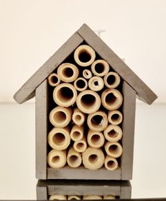Insect house