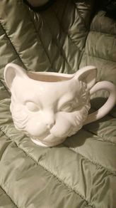 Cat cup /mug