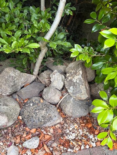 Garden rocks