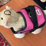 Gorgeous Waggy Tails No Pull Harness Size Small Brand New Image 6