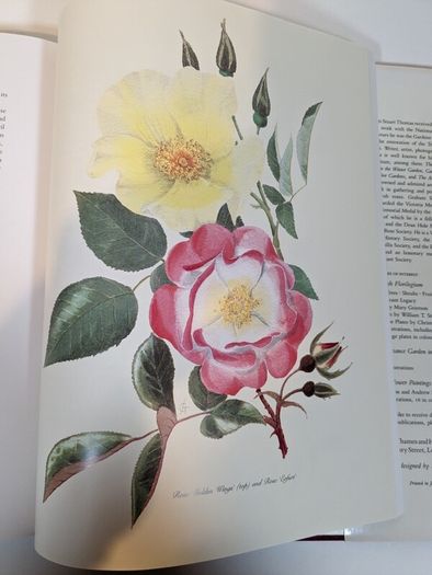 Flower Paintings Graham Stuart Thomas