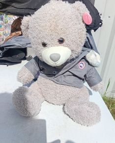 Teddy. Canada Moose