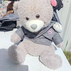 Teddy. Canada Moose