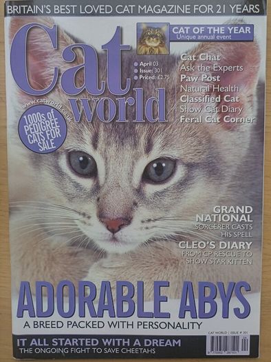 Cat World