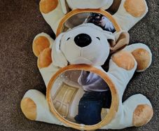 2 x Dog car seat mirrors