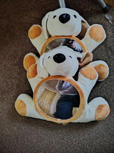 2 x Dog car seat mirrors