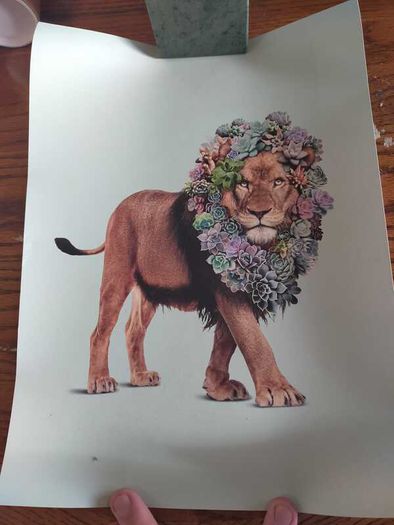 Screen Print Posters