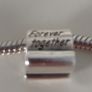 Pandora Bracelet  with Together Forever Charm Image 3