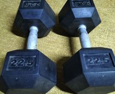 22.5kg Dumbell