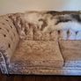 Chesterfield style sofa Image 6