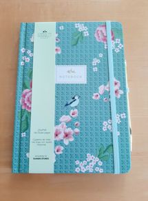 Carolyn Donnelly Journal BN