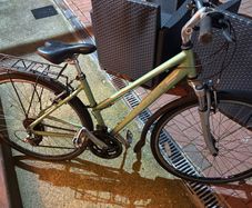 Raleigh City Bike