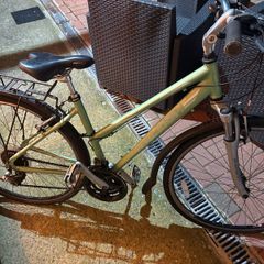 Raleigh City Bike