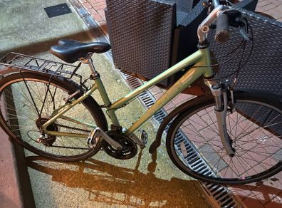 Raleigh City Bike