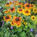 Plantmom123