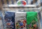 Boys PJ Masks Underwear