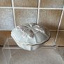 Belleek Parian China Shell Dish & Georgian Jewellery Box Image 10