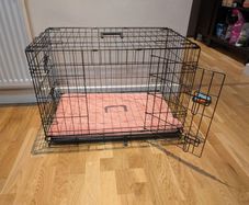 dog cage
