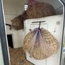 Bockmann horse box. Image 7