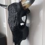 Carved Black Bull Skull Image 3