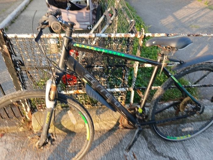 carrerra bike